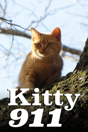 Kitty 911
