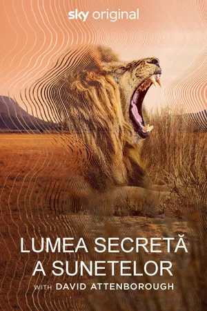 Secret World of Sound