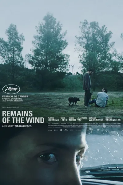 Remains of the Wind