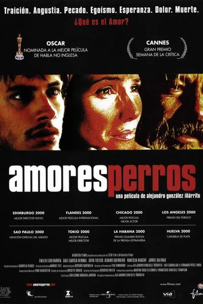 Amores Perros