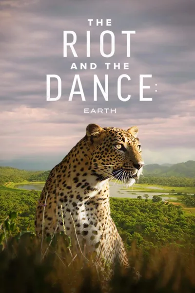 The Riot and the Dance